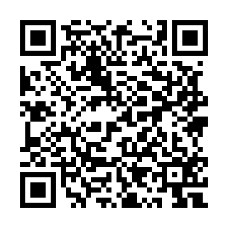 QR code for 1Y95166