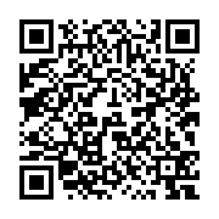 QR code for 1YLJ335