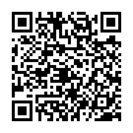 QR code for 1Z46311
