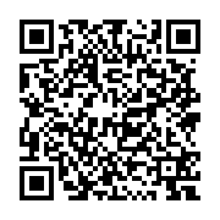 QR code for 1Z95203