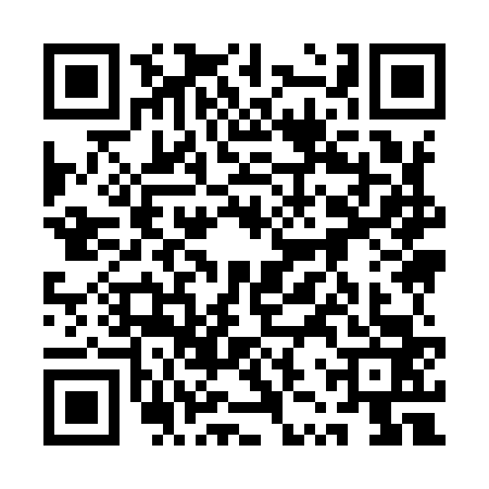 QR code for 1ZY9633