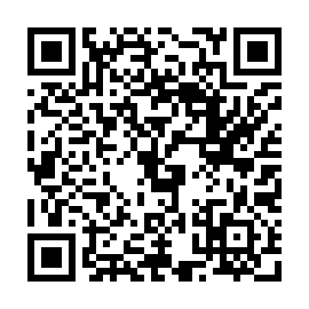 QR code for 20D992Z