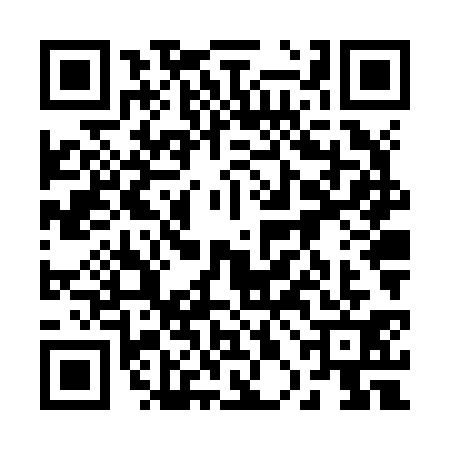 QR code for 20NZ313