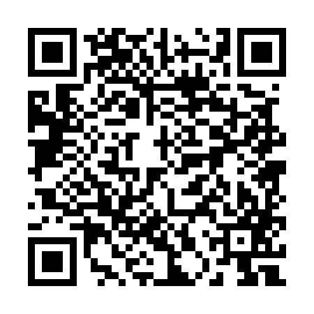 QR code for 20P587H
