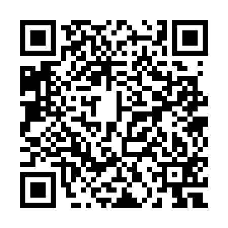 QR code for 20S313L