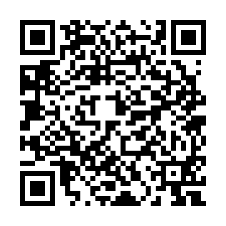 QR code for 20S390Z