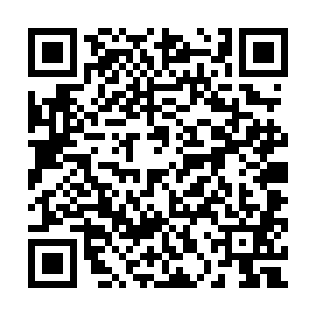 QR code for 20TPH13