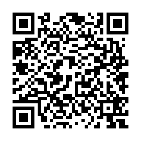 QR code for 21N6295