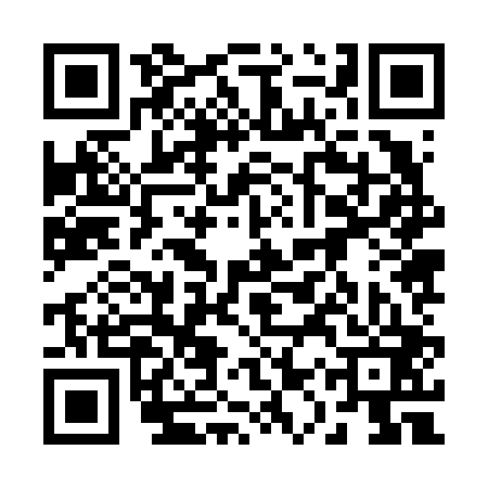 QR code for 21Z603Z