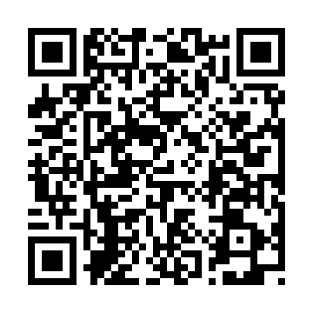 QR code for 21Z953A