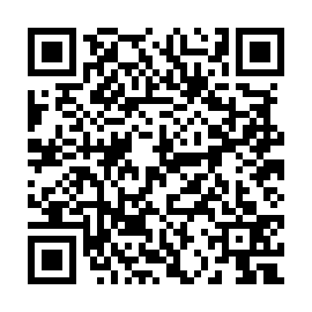 QR code for 22PM338