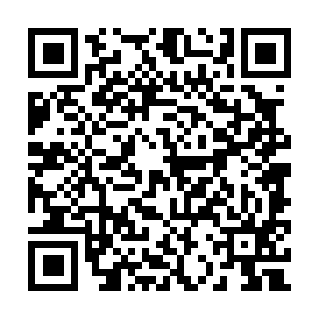 QR code for 22T095Z