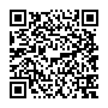 QR code for 22T438Y