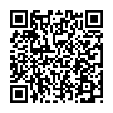 QR code for 22T511P