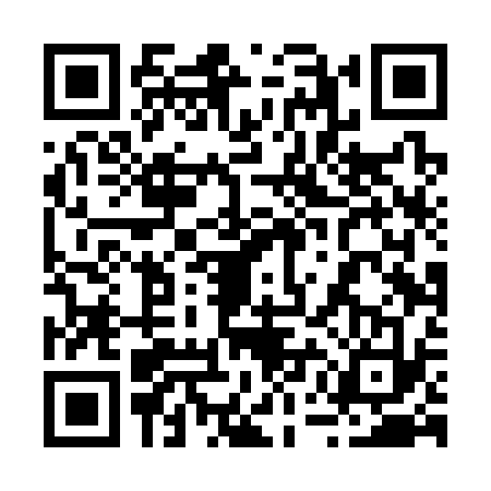 QR code for 25DS331