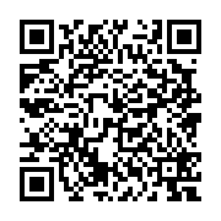 QR code for 25H029S
