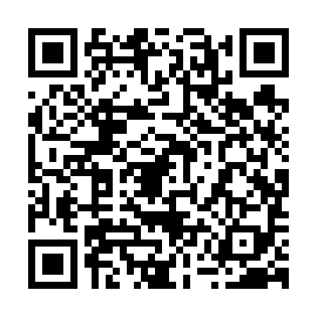 QR code for 25HV994