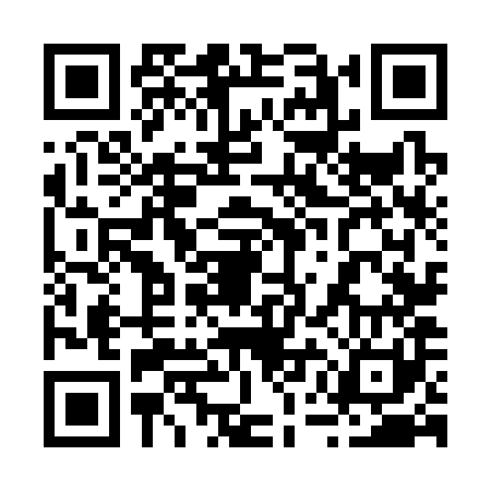 QR code for 25N381M