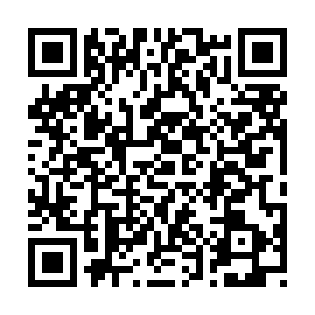 QR code for 25NLM38