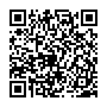 QR code for 25ZS533