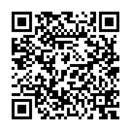 QR code for 27K919Z