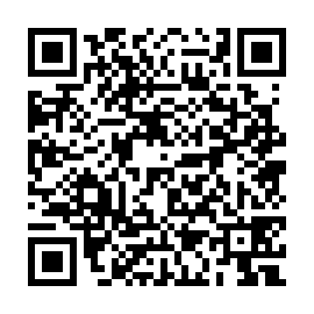 QR code for 2A0378Y
