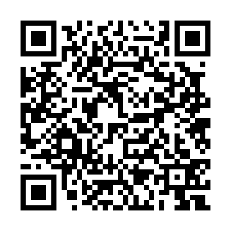 QR code for 2A20336
