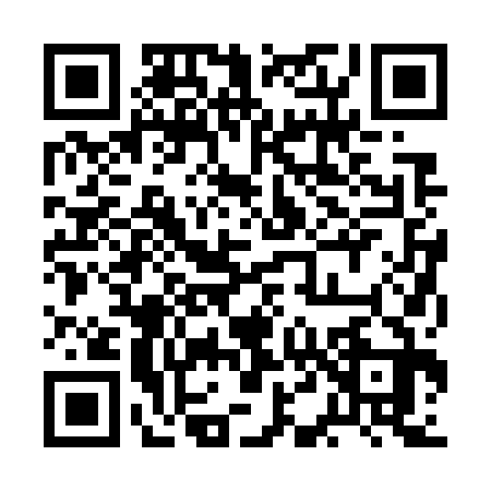 QR code for 2D2733D