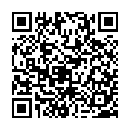 QR code for 2D3855N