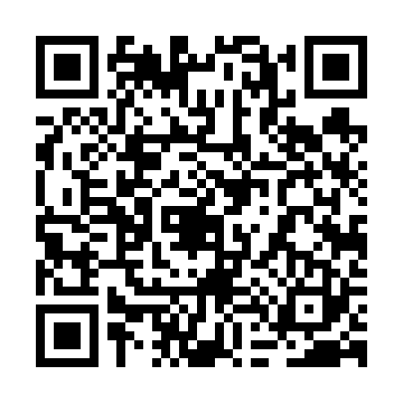 QR code for 2D46234