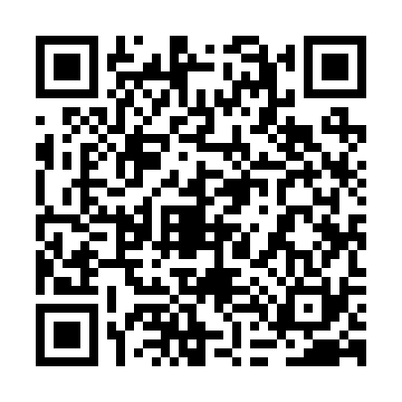 QR code for 2D9230P