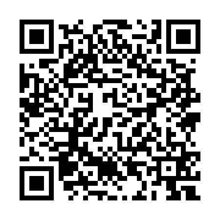 QR code for 2D95619