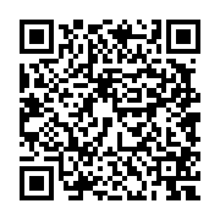 QR code for 2DD4046