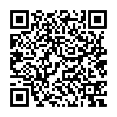 QR code for 2DG9306