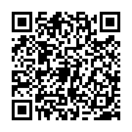QR code for 2DH4919