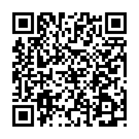 QR code for 2DHD078