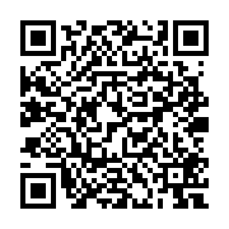 QR code for 2DHS099