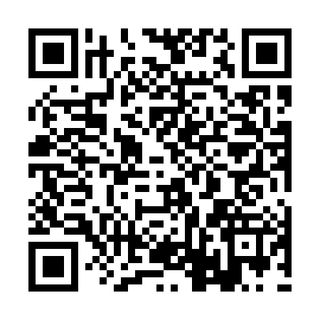 QR code for 2DL0878