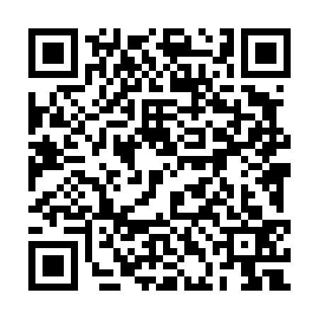 QR code for 2DL4333