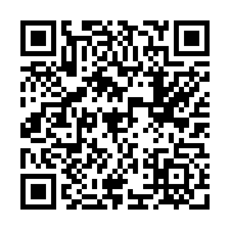 QR code for 2DN2733