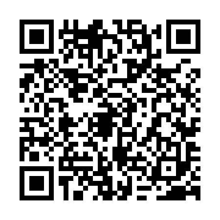 QR code for 2DN9931
