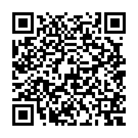 QR code for 2DP0002