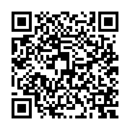 QR code for 2DPG045