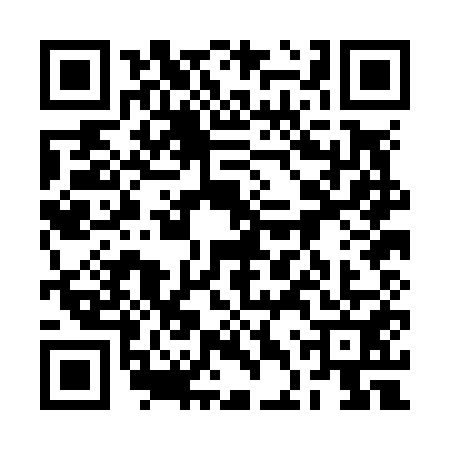 QR code for 2DPN517