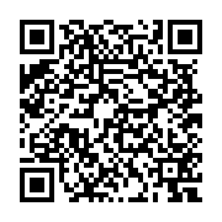 QR code for 2DPN539