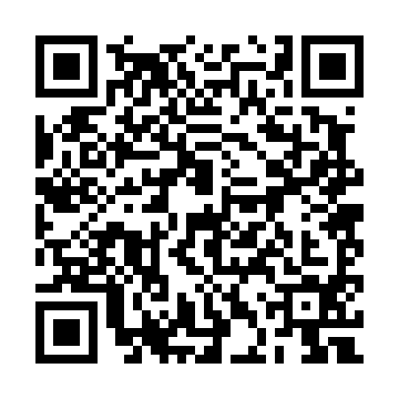 QR code for 2DR4941