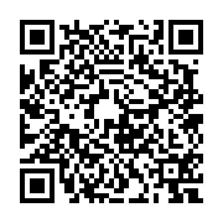 QR code for 2DS4141