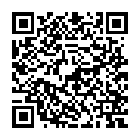 QR code for 2DSG435