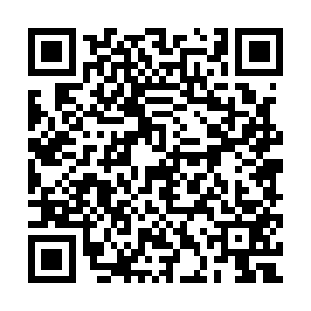 QR code for 2DT1533