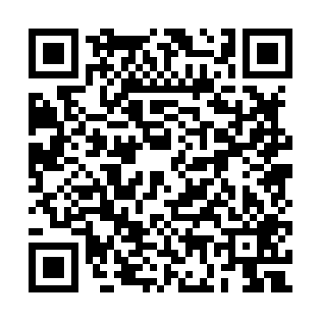 QR code for 2G0809N